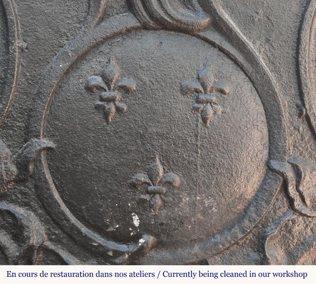 Small Louis XV period plaque with fleurs-de-lis and palmettes-5