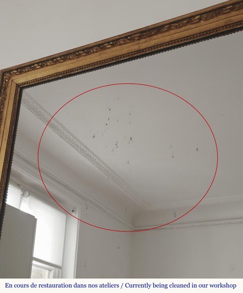 Louis XVI style gilded trumeau with plant decoration-5