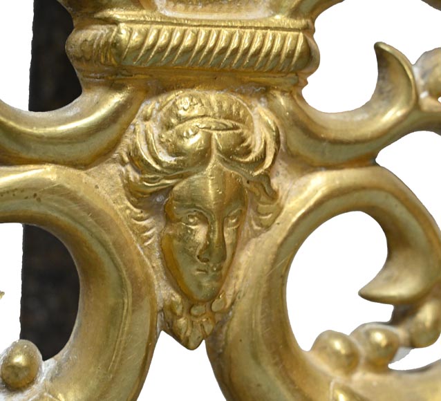 Pair of gilt bronze andirons, Restoration style, early 19th century-4