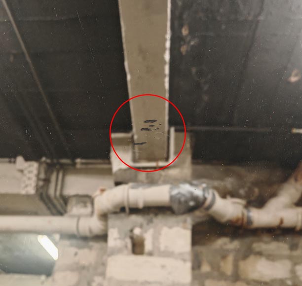 Gilded Louis XVI style trumeau with musical instruments-8