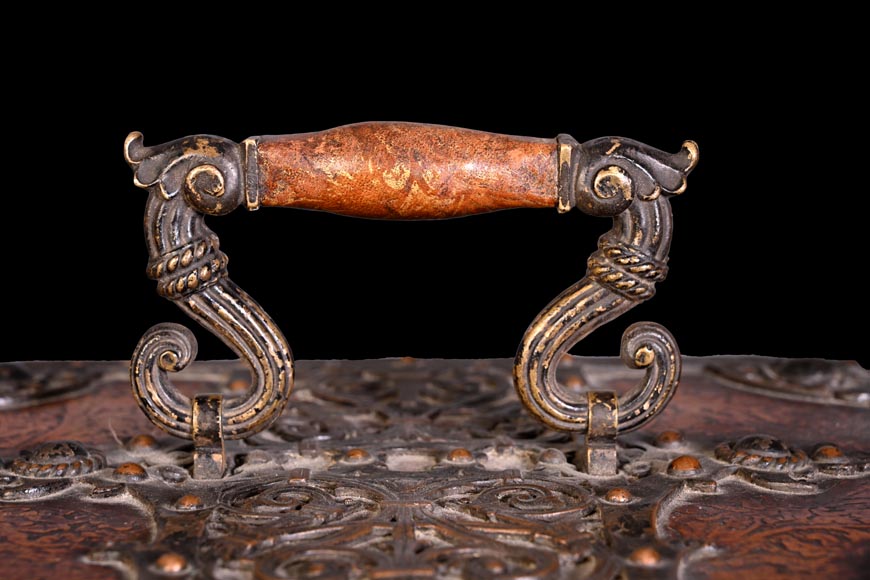 Leather and iron travelling case with dragons and mascarons-4
