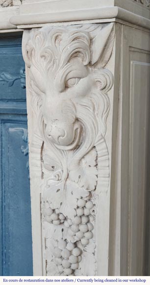 Napoleon III style fireplace in sculpted stone, with plant decoration-9