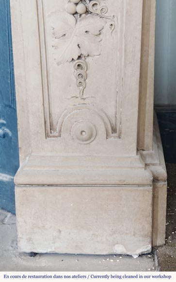 Napoleon III style fireplace in sculpted stone, with plant decoration-10