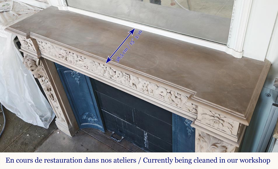 Napoleon III style fireplace in sculpted stone, with plant decoration-12