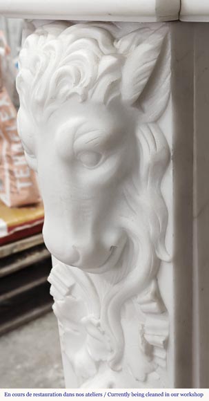 Napoleon III style fireplace in statuary marble, decorated with fruit and a goat's head-7