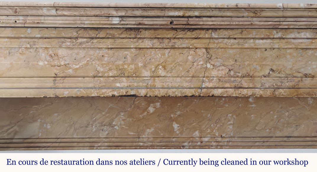 Lion's paw model fireplace in yellow Siena marble-1