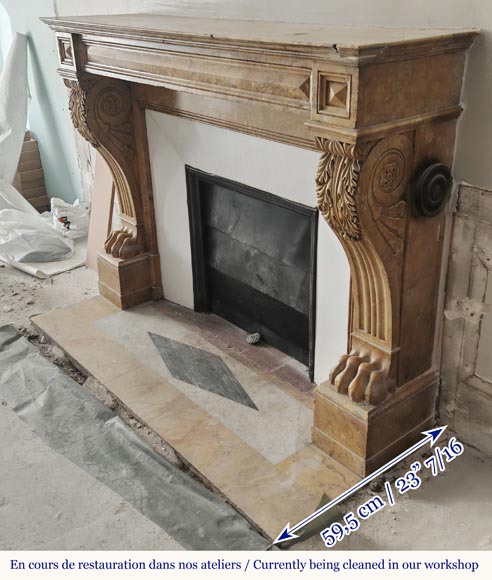 Lion's paw model fireplace in yellow Siena marble-5