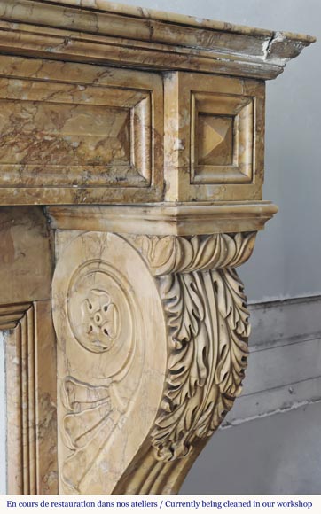 Lion's paw model fireplace in yellow Siena marble-6