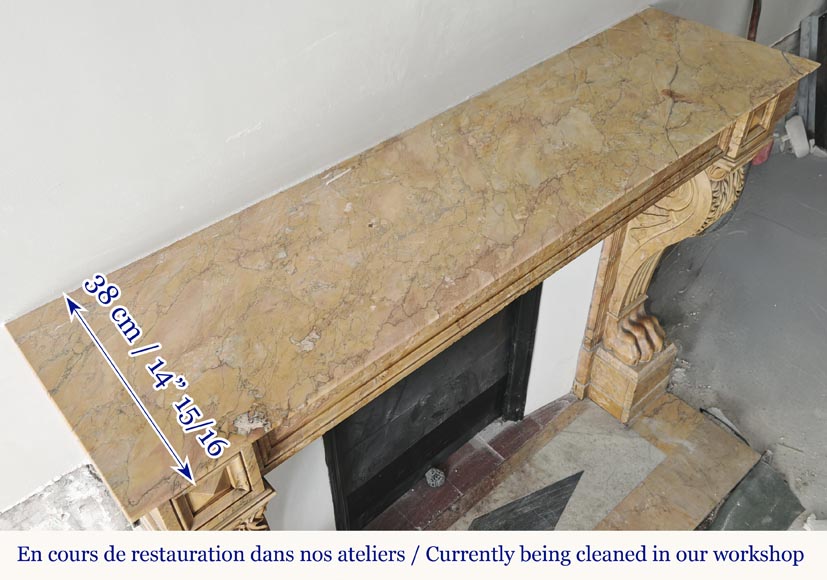 Lion's paw model fireplace in yellow Siena marble-9