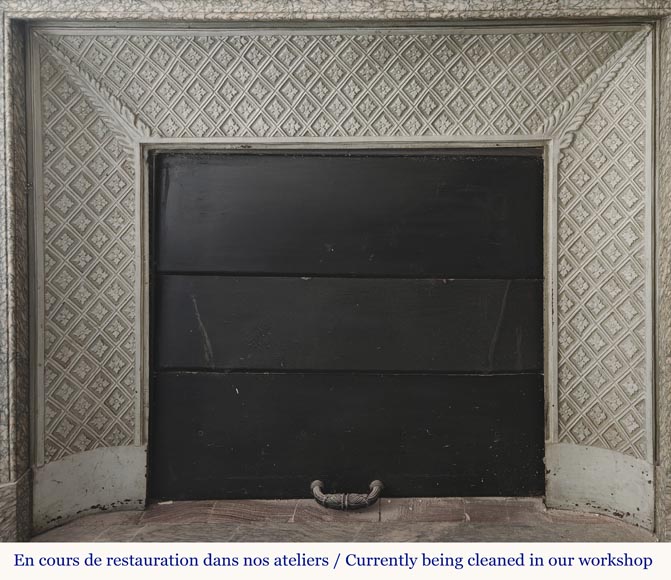 Napoleon III style fireplace with floral decoration, in green Estours marble-10