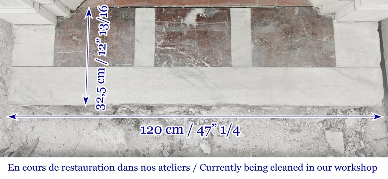 Louis XVI style fireplace in semi-statuary marble, decorated with a sunflower-9