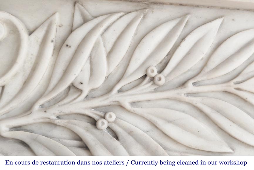 Regency-style Paonazzo marble fireplace, decorated with palm fronds-4